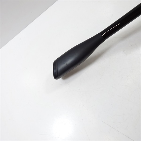 ２１ポイズングロリアス263ML